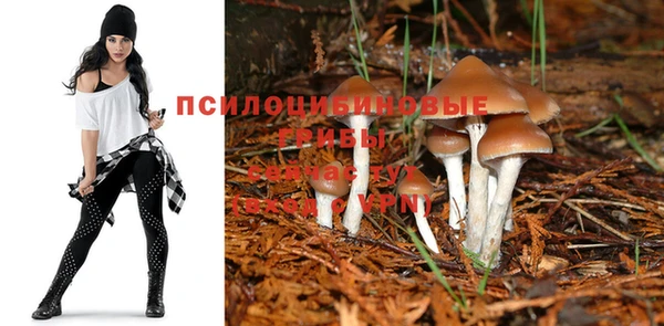 скорость Баксан