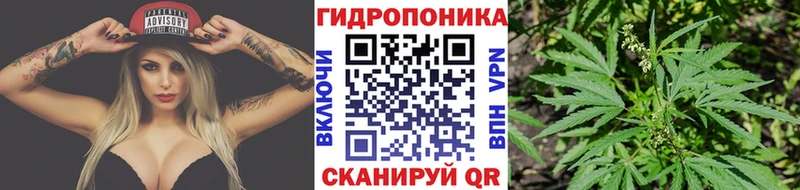 Каннабис OG Kush  купить закладку  Зеленоградск 